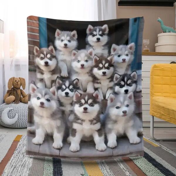 再入荷【シベリアン・ハスキー】犬柄 ブランケット 130×150 毛布