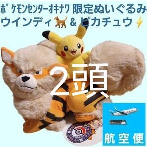 2個 ポケモンセンターオキナワ限定 ウインディとピカチュウぬいぐるみ 入手難易度高