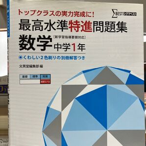 最高水準特進問題集 数学中学1年 文英堂編集部