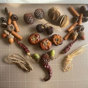 値下!花材/リース素材 天然実物リース素材 松ぼっくり ライム 唐辛子 ユーカリ どんぐり(一部プラ製)シナモン 他実2種+紐2種