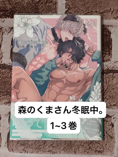 森のくまさん冬眠中。 1~3巻 ネットプリント付き