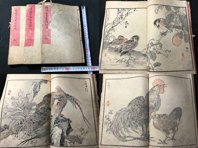 Yahoo!オークション -「花鳥画_(浮世絵)」の落札相場・落札価格 Yahoo!オークション -「花鳥画_(浮世絵)」の落札相場・落札価格