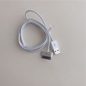 旧型 iPhone iPad iPod 充電器 充電 ケーブル USB 白 1