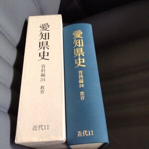 愛知県史 資料編34 近代11 平成16年