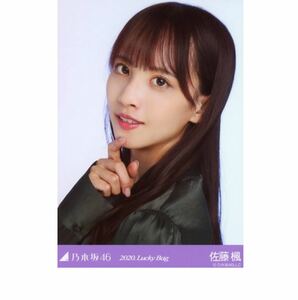 乃木坂46 公式グッズ 佐藤楓 ヨリ 生写真 1枚 【2020 福袋 Lucky Bag 】しあわせの保護色