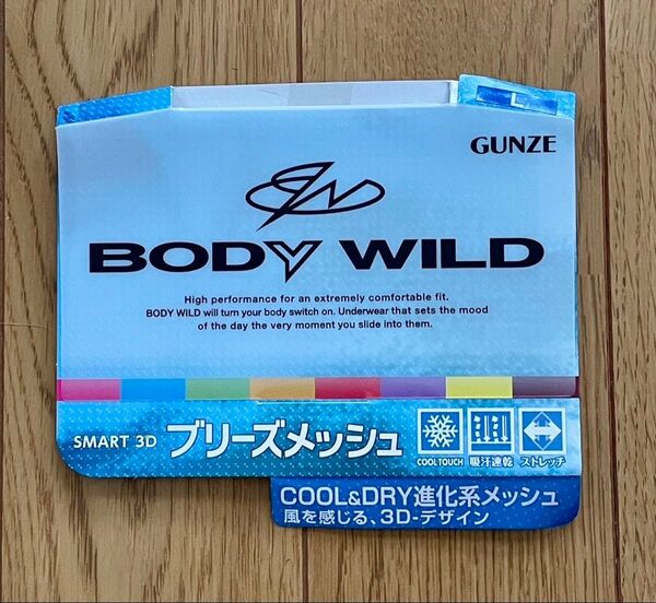新品 GUNZE BODY WILD ブリーズメッシュ Lサイズ 二色組 Vネック&クルーネック