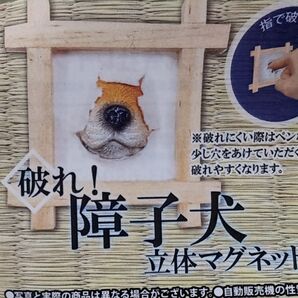 破れ!障子犬 立体マグネット