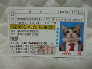 【 なめ猫 猫八 】 免許証 なめられたら無効 ゴールド 新品 即決 なめんなよ なめ猫同梱検索