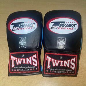 TWINS SPECIAL ボクシンググローブ
