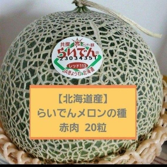 【北海道産】らいでんメロンの種 赤肉 20粒