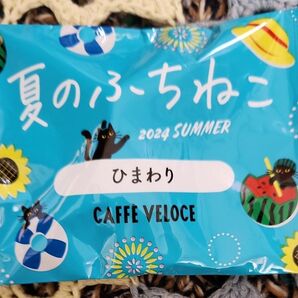 カフェ・ベローチェ ふちねこ 2024Summer ひまわり