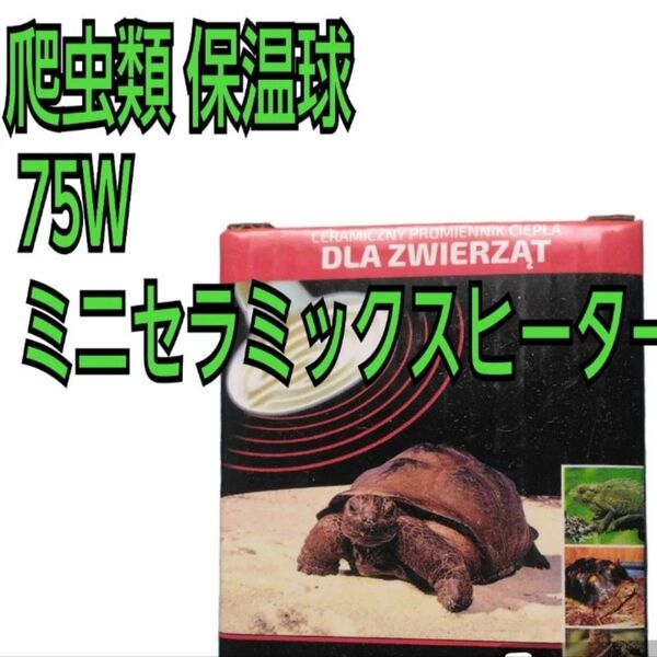 爬虫類 保温球 75W ミニ セラミックスヒーター 赤外線放熱 保温電球 ペット用ヒーター 無発光 省スペース(75W)