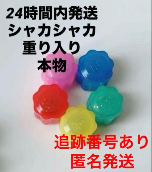 イカゲーム2韓国話題の伝統遊びコンギノリ10個