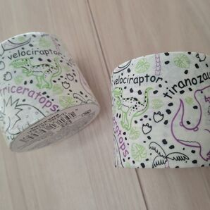 DESIGN DUCT TAPE 2個セット 48mm x 5m ダイナソー