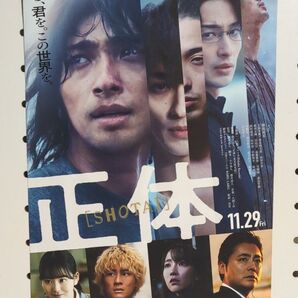 映画 正体 フライヤー5枚