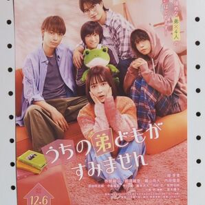 映画 うちの弟どもがすみません フライヤー5枚
