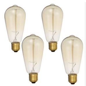フィラメント電球 60W E26 110-130Ⅴ エジソンスタイル 4個セット
