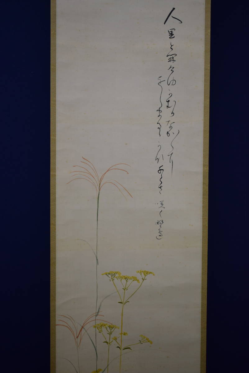 [Authentisch] //Masaomi Saka / Herbstblumenmalerei / Hotei-ya Hängerolle HH-249, Malerei, Japanische Malerei, Blumen und Vögel, Tierwelt