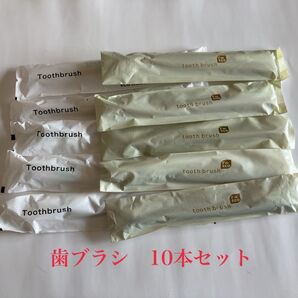 P270★【匿名発送】使い捨てのハブラシ10本セット
