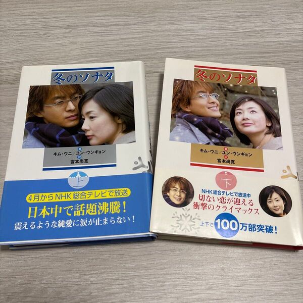 冬のソナタ 本 上下セット 韓国ドラマ ペ・ヨンジュン チェジウ