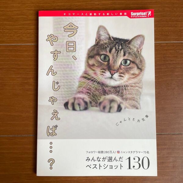 今日、やすんじゃえば…? サプライズBOOK ネコ 猫 写真 本 書籍 写真集 コンビニ本 インスタ 人気猫 癒し かわいい