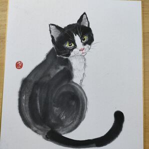 水墨画 墨彩 ハチワレ猫 ねこ 色紙 アート 絵画 ねこの絵 イラスト 猫の絵