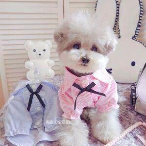 【1点のみ】犬服 ペットウェア 春夏 ブラウス リボン ストライプ ピンク Мサイズ