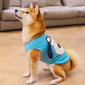 【人気】犬服 ペットウェア 春夏 ワッペン ブルー Мサイズ