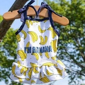 【新品】犬服 夏服 ワンピース バナナ柄 М