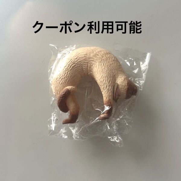 猫ブリッジ 2 茶 白シャム