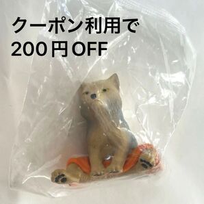 スナギツネ どうぶつサウナ