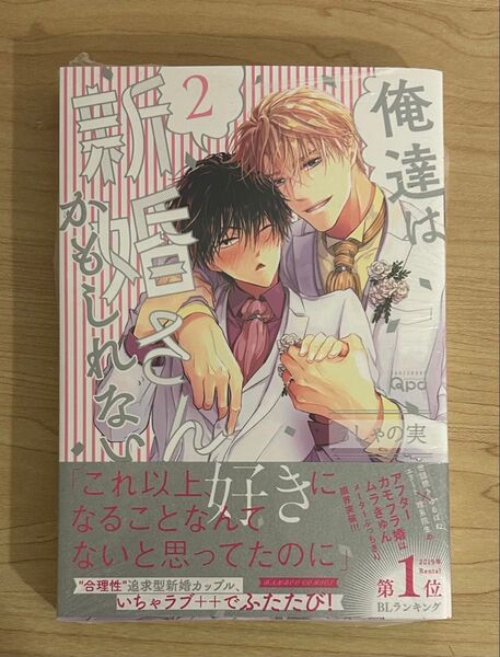俺達は新婚さんかもしれない 2/ちしゃの実