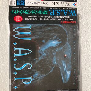 W.A.S.P. / Still not Black Enough