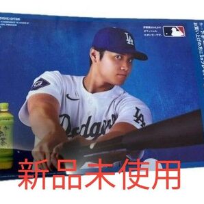 〈クーポン対応〇、他の商品同時購入〇〉伊藤園 大谷翔平クリアファイル&ペットボトルケース
