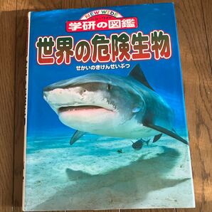 世界の危険生物