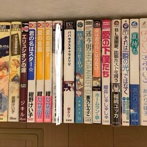 BLコミック30冊まとめ売り