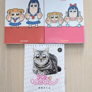 「ポプテピピック」2冊+「今夜はねこちゃん」大川ぶくぶ 3冊セット 竹書房