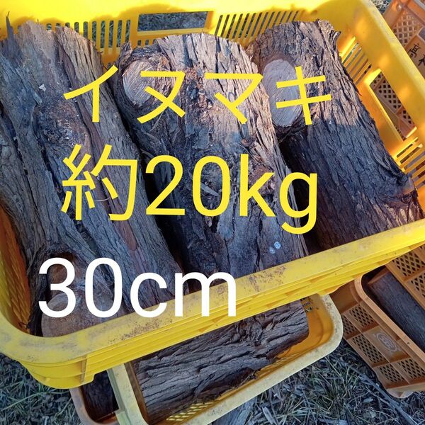 【約20kg】 イヌマキ 薪 丸太