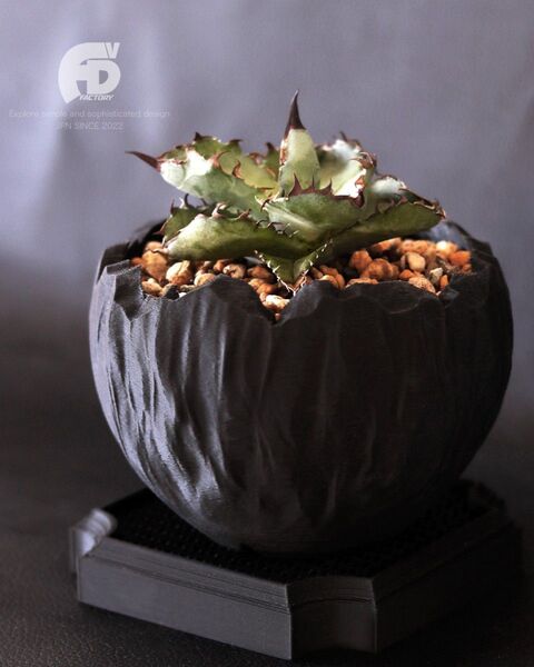 Adv-046(110×80) 植木鉢 おしゃれ 多肉 観葉 塊根植物 コーデックス 鉢 3d鉢 作家鉢 グラキリス アガベ