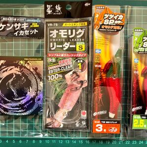 墨族 エギセット ケンサキイカ イカメタル エギ
