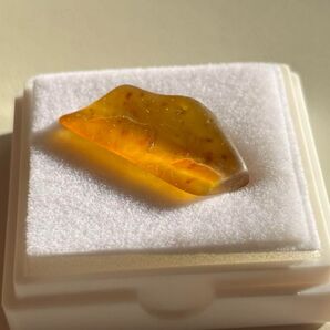 0.8g 琥珀 コレクション 天然石