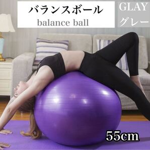 バランスボール 直径55cm ダイエット 銀 グレー 新品未使用 ヨガ フィットネス トレーニング ピラティス