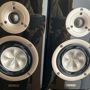 FOSTEX G1001MG ペア