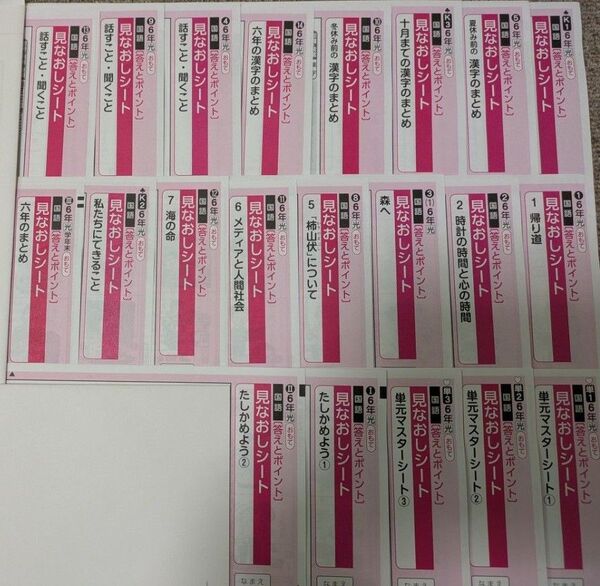 小6 国語 カラーテスト