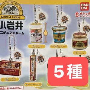 小岩井ミニチュアチャーム★5種