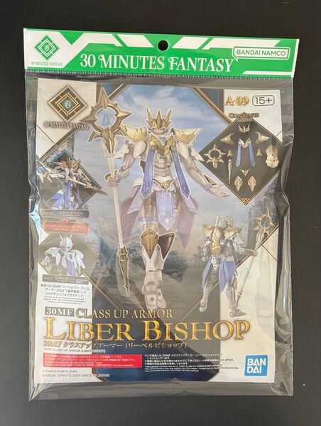 30MF クラスアップアーマー (リーベルビショップ)