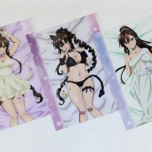 ストライク・ザ・ブラッド くじ引き堂 ラブリーキャット オンラインくじ A3クリアポスター 煌坂紗矢華 全3種セット
