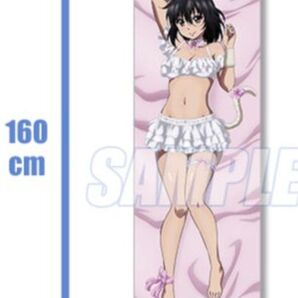 ストライク・ザ・ブラッド くじ引き堂 ラブリーキャット オンラインくじ S賞 大きな布ポスター姫柊雪菜
