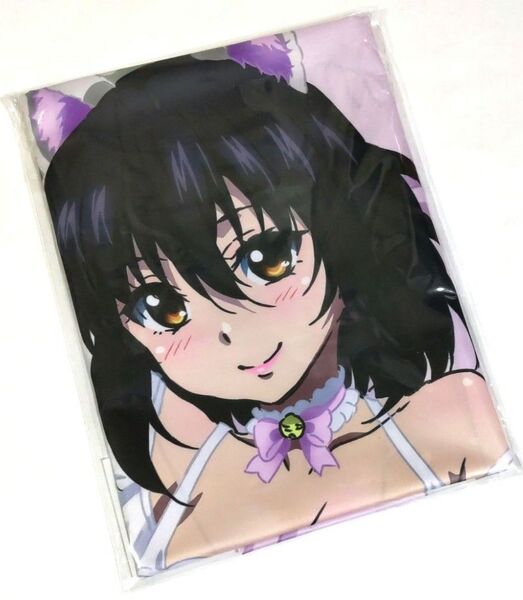 ストライク・ザ・ブラッド くじ引き堂 ラブリーキャット オンラインくじ S賞 大きな布ポスター姫柊雪菜