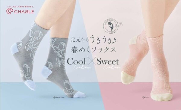 ☆お値下げ☆シャルレ ソックス(柄物) 2足